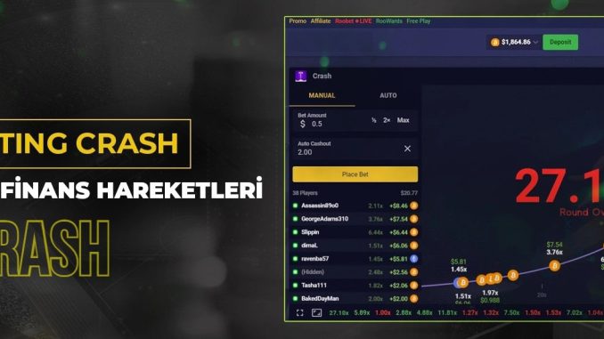 crash-resim